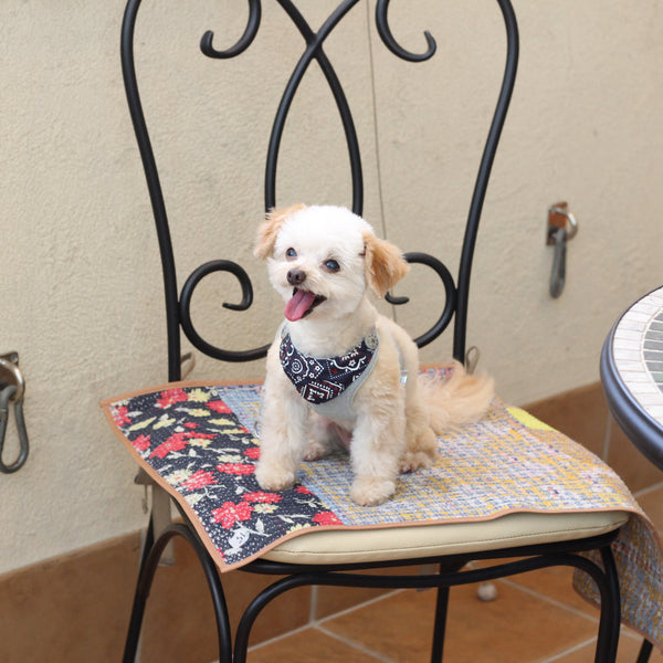 C-15  カフェマット (カンタキルト)